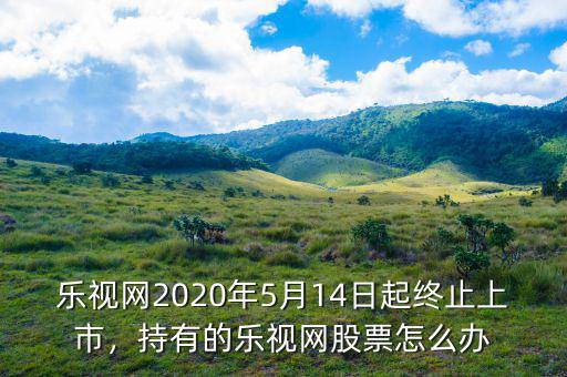 樂視網(wǎng)2020年5月14日起終止上市，持有的樂視網(wǎng)股票怎么辦