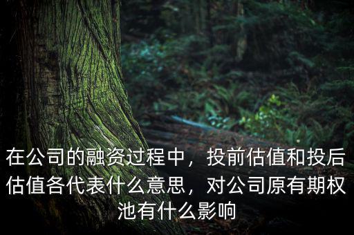 在公司的融資過(guò)程中，投前估值和投后估值各代表什么意思，對(duì)公司原有期權(quán)池有什么影響
