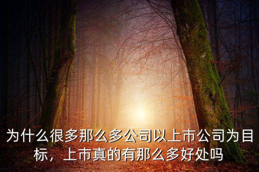 為什么很多那么多公司以上市公司為目標(biāo)，上市真的有那么多好處嗎