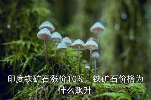 印度鐵礦石漲價(jià)10%，鐵礦石價(jià)格為什么飆升