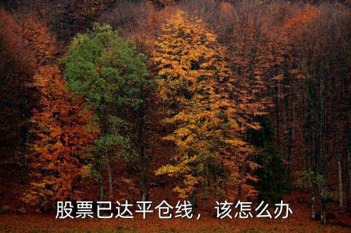 股票已達平倉線，該怎么辦