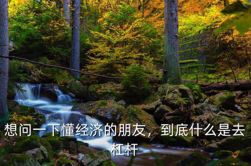 想問一下懂經(jīng)濟(jì)的朋友，到底什么是去杠桿