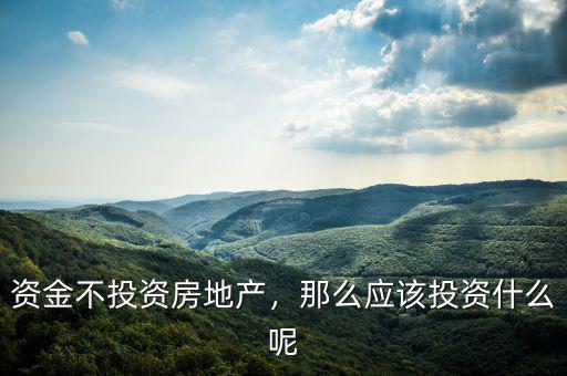 資金不投資房地產(chǎn)，那么應(yīng)該投資什么呢