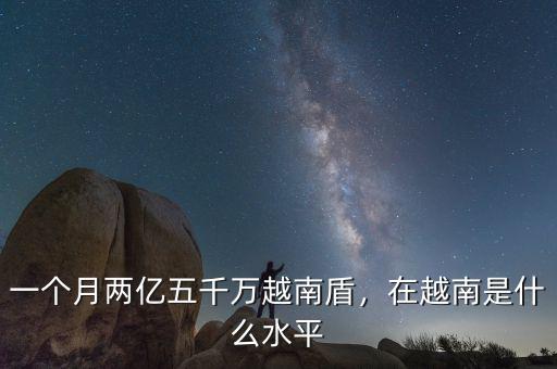 一個(gè)月兩億五千萬(wàn)越南盾，在越南是什么水平