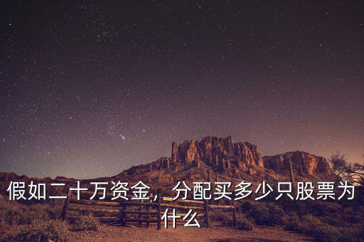 假如二十萬資金，分配買多少只股票為什么