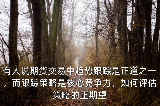 有人說(shuō)期貨交易中趨勢(shì)跟蹤是正道之一，而跟蹤策略是核心競(jìng)爭(zhēng)力，如何評(píng)估策略的正期望