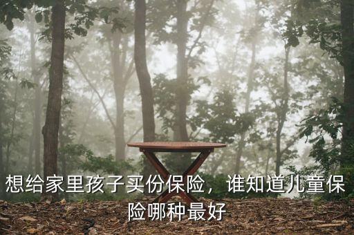 想給家里孩子買份保險(xiǎn)，誰知道兒童保險(xiǎn)哪種最好