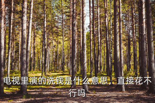 電視里演的洗錢是什么意思，直接花不行嗎