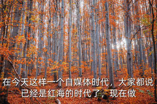 在今天這樣一個(gè)自媒體時(shí)代，大家都說已經(jīng)是紅海的時(shí)代了，現(xiàn)在做
