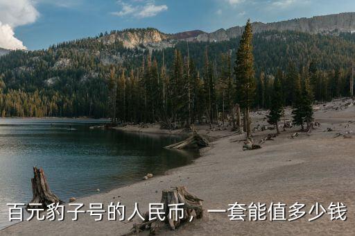 百元豹子號的人民幣，一套能值多少錢