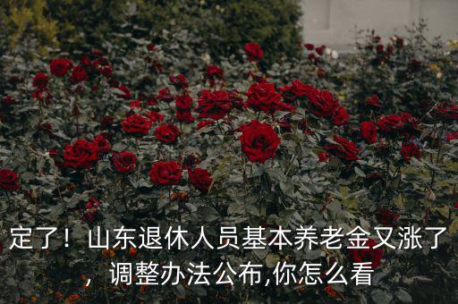 定了！山東退休人員基本養(yǎng)老金又漲了，調(diào)整辦法公布,你怎么看