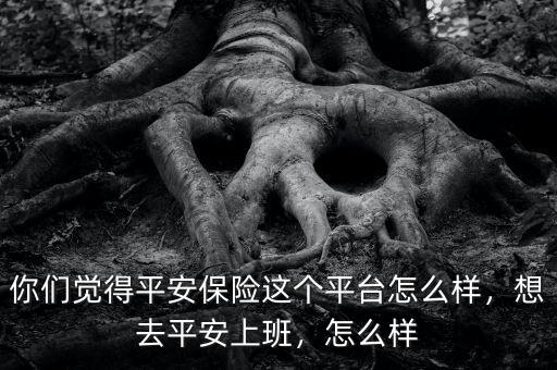 你們覺得平安保險這個平臺怎么樣，想去平安上班，怎么樣