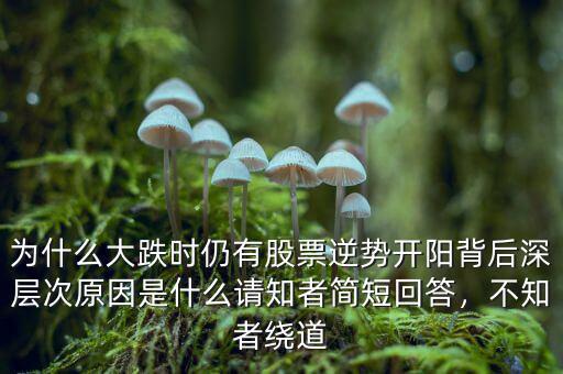 為什么大跌時仍有股票逆勢開陽背后深層次原因是什么請知者簡短回答，不知者繞道
