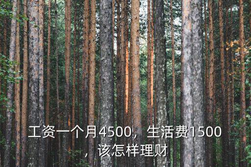 工資一個月4500，生活費(fèi)1500，該怎樣理財