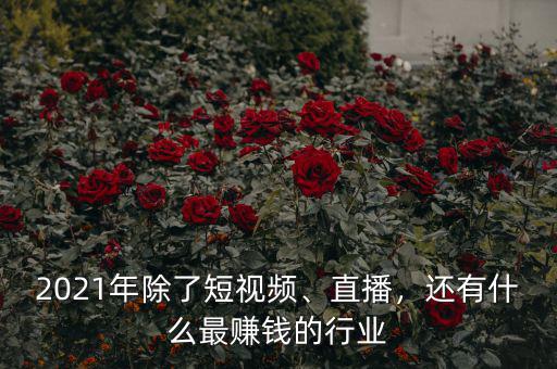 2021年除了短視頻、直播，還有什么最賺錢(qián)的行業(yè)