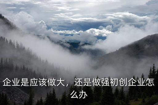 企業(yè)是應(yīng)該做大，還是做強初創(chuàng)企業(yè)怎么辦