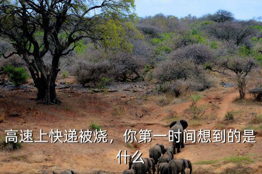 高速上快遞被燒，你第一時(shí)間想到的是什么