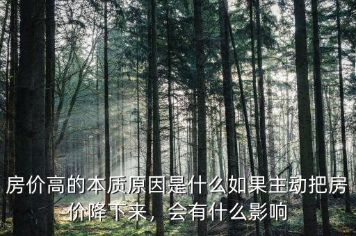房價高的本質(zhì)原因是什么如果主動把房價降下來，會有什么影響