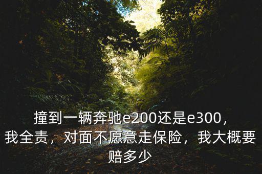 撞到一輛奔馳e200還是e300，我全責，對面不愿意走保險，我大概要賠多少
