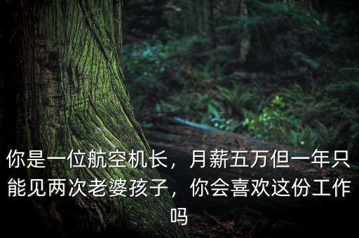 你是一位航空機長，月薪五萬但一年只能見兩次老婆孩子，你會喜歡這份工作嗎
