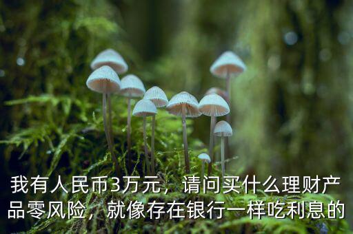 我有人民幣3萬(wàn)元，請(qǐng)問(wèn)買(mǎi)什么理財(cái)產(chǎn)品零風(fēng)險(xiǎn)，就像存在銀行一樣吃利息的