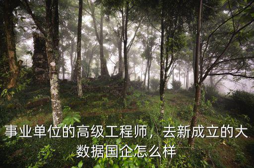 事業(yè)單位的高級(jí)工程師，去新成立的大數(shù)據(jù)國企怎么樣