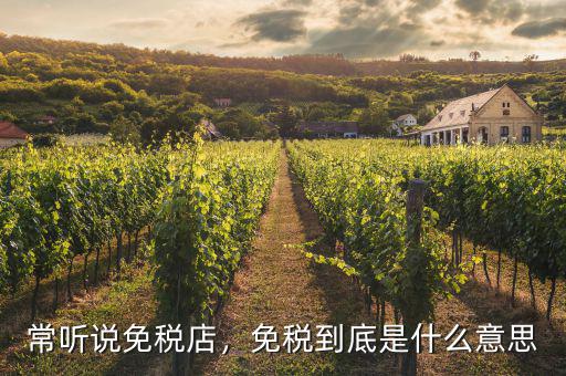 常聽(tīng)說(shuō)免稅店，免稅到底是什么意思