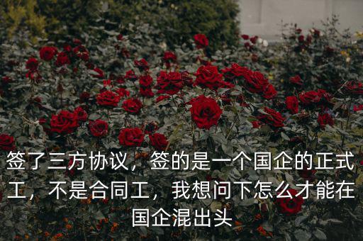簽了三方協(xié)議，簽的是一個(gè)國(guó)企的正式工，不是合同工，我想問(wèn)下怎么才能在國(guó)企混出頭