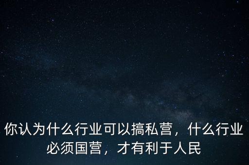 你認為什么行業(yè)可以搞私營，什么行業(yè)必須國營，才有利于人民
