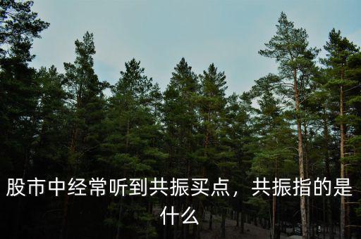 股市中經(jīng)常聽到共振買點，共振指的是什么