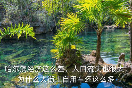 哈爾濱經(jīng)濟(jì)這么差，人口流失也很大，為什么大街上自用車還這么多