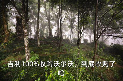吉利100%收購(gòu)沃爾沃，到底收購(gòu)了啥