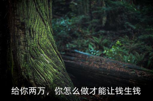 給你兩萬，你怎么做才能讓錢生錢
