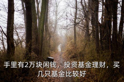 手里有2萬塊閑錢，投資基金理財，買幾只基金比較好
