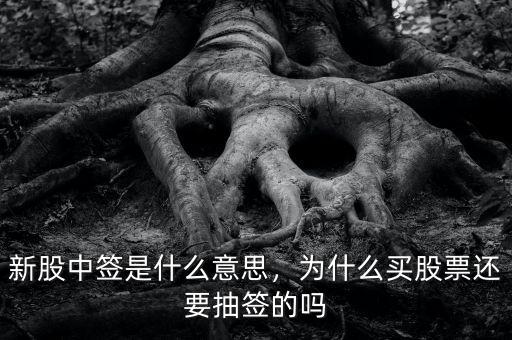 新股中簽是什么意思，為什么買股票還要抽簽的嗎