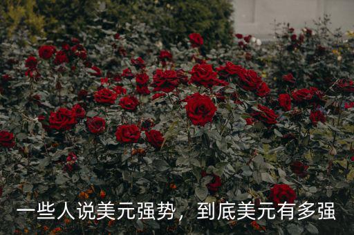 一些人說美元強勢，到底美元有多強