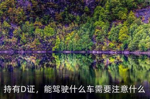 持有D證，能駕駛什么車需要注意什么