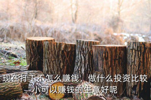 現(xiàn)在打工不怎么賺錢(qián)，做什么投資比較小可以賺錢(qián)的生意好呢