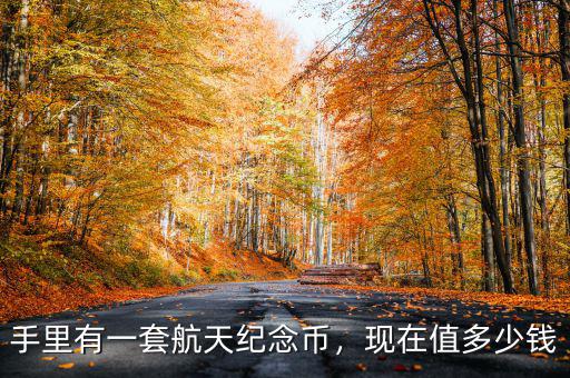 航天紀(jì)念幣多少錢(qián),現(xiàn)在值多少錢(qián)