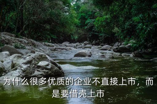 為什么很多優(yōu)質的企業(yè)不直接上市，而是要借殼上市