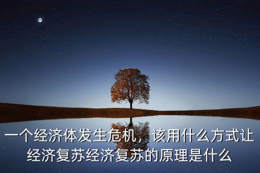 一個(gè)經(jīng)濟(jì)體發(fā)生危機(jī)，該用什么方式讓經(jīng)濟(jì)復(fù)蘇經(jīng)濟(jì)復(fù)蘇的原理是什么