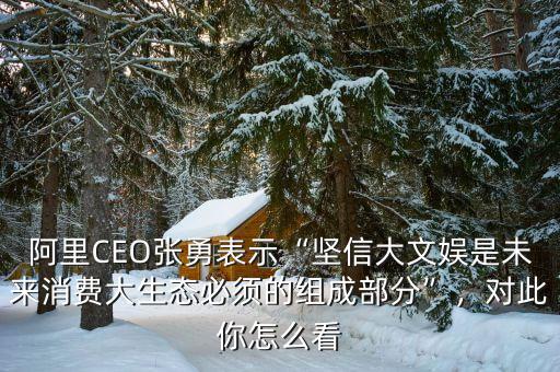 阿里CEO張勇表示“堅(jiān)信大文娛是未來(lái)消費(fèi)大生態(tài)必須的組成部分”，對(duì)此你怎么看