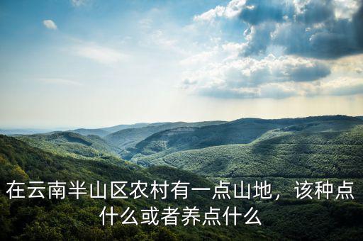 在云南半山區(qū)農(nóng)村有一點(diǎn)山地，該種點(diǎn)什么或者養(yǎng)點(diǎn)什么