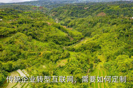 互聯(lián)網轉型需要什么,傳統(tǒng)企業(yè)轉型互聯(lián)網