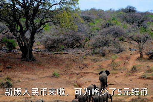 新版人民幣來(lái)啦，可為啥少了5元紙幣