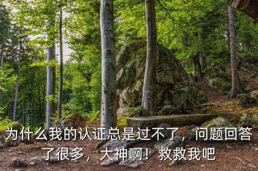 為什么我的認證總是過不了，問題回答了很多，大神?。【染任野? class=