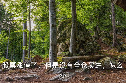 股票漲停了，但是沒(méi)有全倉(cāng)買進(jìn)，怎么辦
