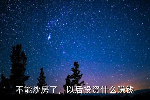 不能炒房了，以后投資什么賺錢
