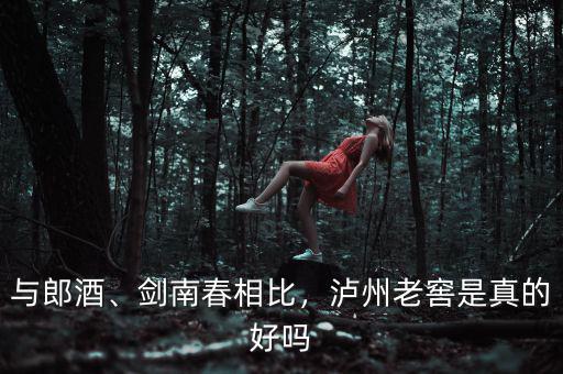 與郎酒、劍南春相比，瀘州老窖是真的好嗎