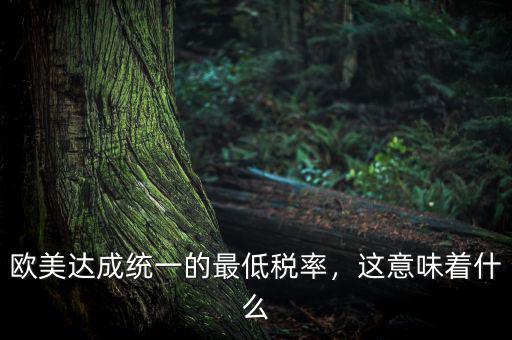 歐美達成統(tǒng)一的最低稅率，這意味著什么